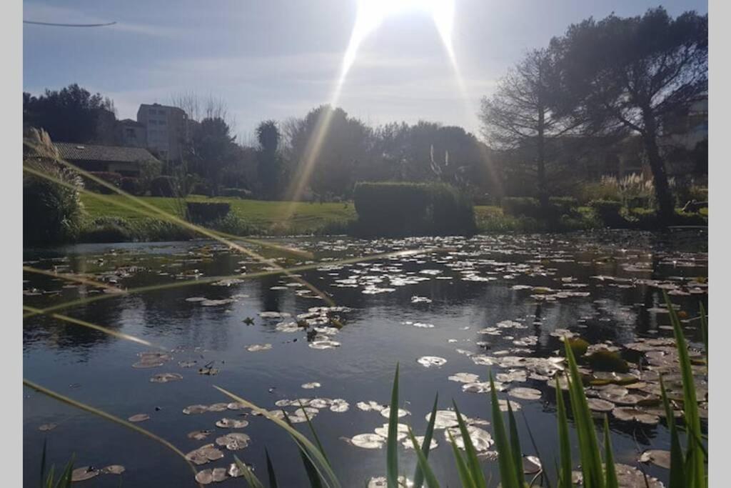 Magnifique Rez De Jardin & Piscine & Bord De Mer Lägenhet Six-Fours-les-Plages Exteriör bild